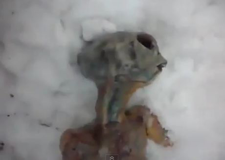 Viral Video of 'Alien' in Siberia a Convincing Fake